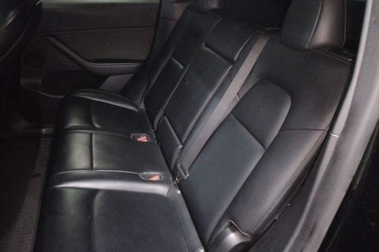 Used Tesla Model Y 2021 Standard Range Rear-Wheel Drive Version Left Rear Seat