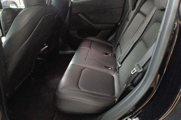 Used Tesla Model Y 2021 Standard Range Rear-Wheel Drive Version Left Rear Seat
