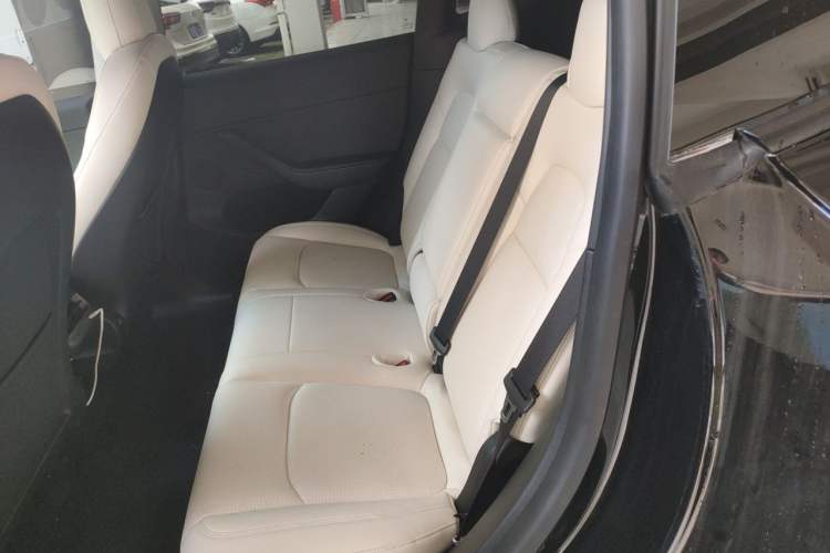 Used Tesla Model Y 2021 Standard Range Rear-Wheel Drive Version Left Rear Seat