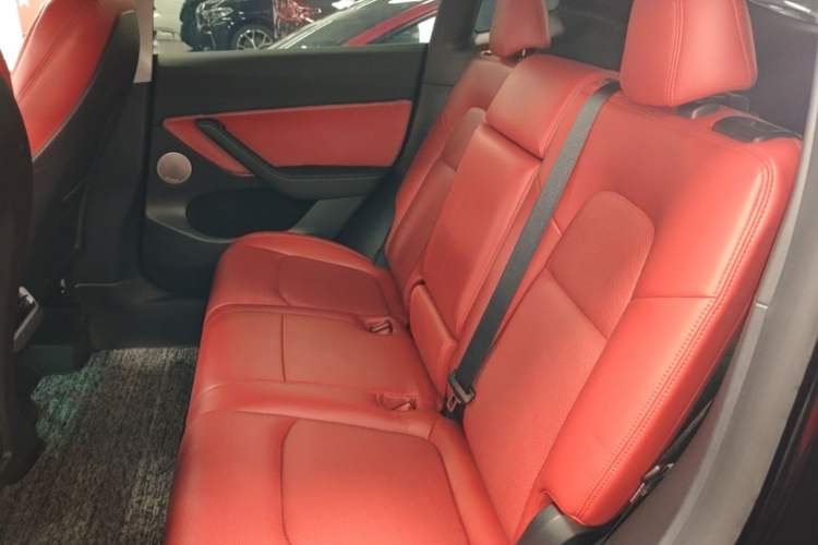 Used Tesla Model Y 2021 Standard Range Rear-Wheel Drive Version Left Rear Seat