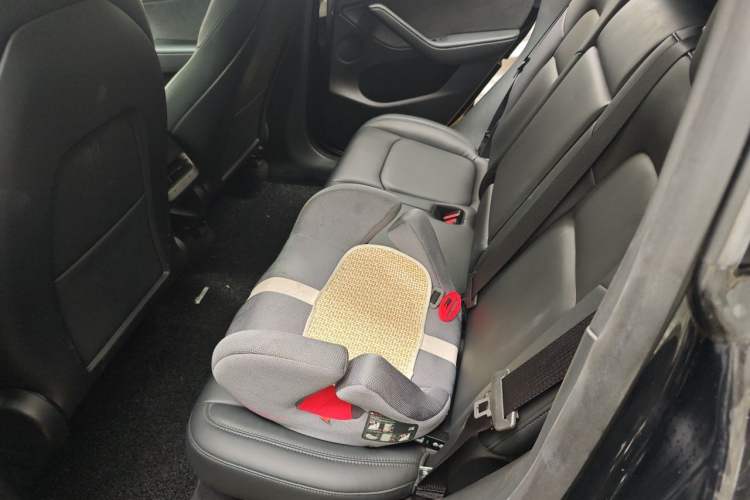 Used Tesla Model Y 2021 Standard Range Rear-Wheel Drive Version Left Rear Seat