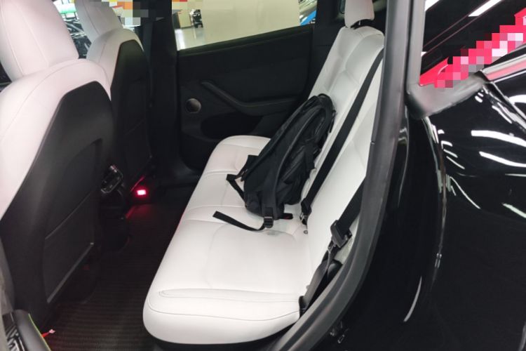 Used Tesla Model Y 2021 Performance High-Performance All-Wheel-Drive Version Left Rear Seat