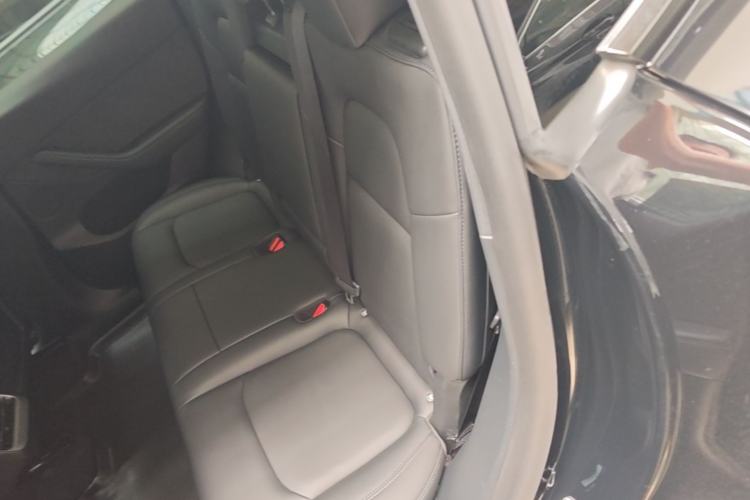 Used Tesla Model Y 2021 Standard Range Rear-Wheel Drive Version Left Rear Seat