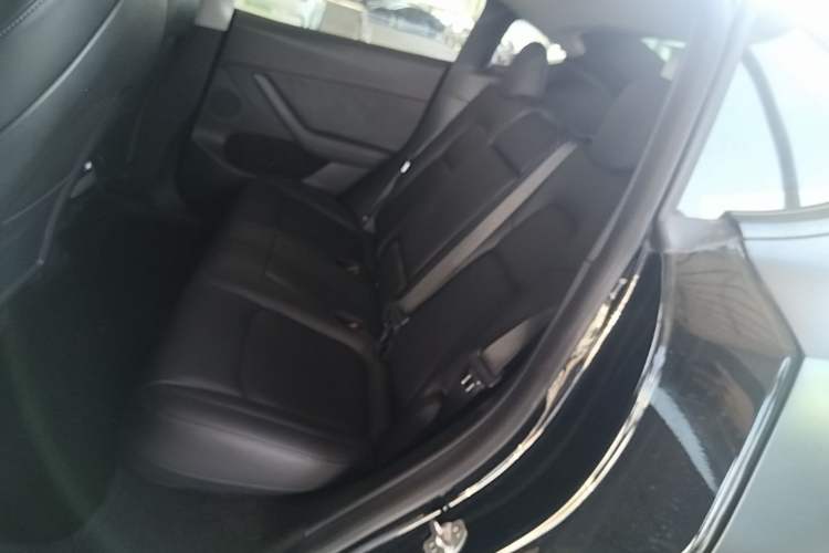 Used Tesla Model Y 2021 Standard Range Rear-Wheel Drive Version Left Rear Seat