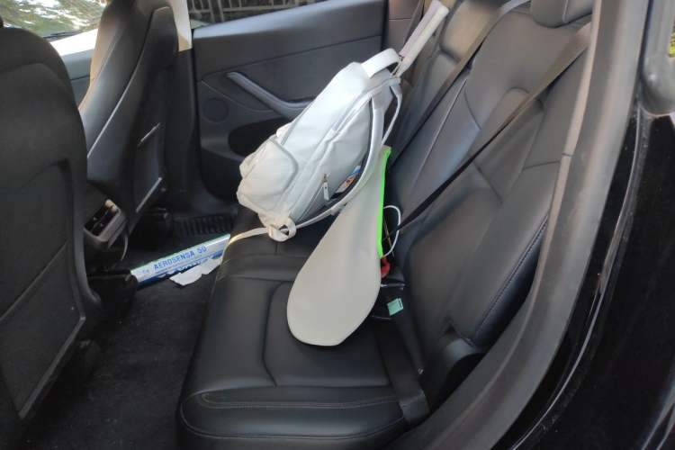 Used Tesla Model Y 2021 Standard Range Rear-Wheel Drive Version Left Rear Seat