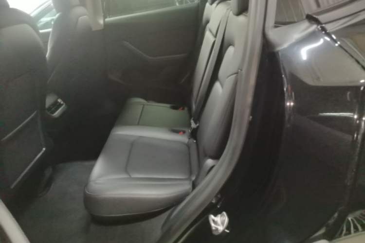 Used Tesla Model Y 2021 Long-Range All-Wheel-Drive Version Left Rear Seat