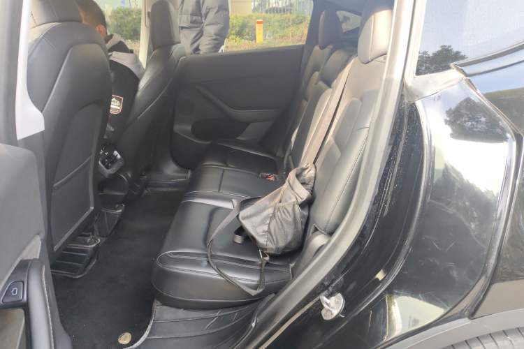 Used Tesla Model Y 2021 Standard Range Rear-Wheel Drive Version Left Rear Seat