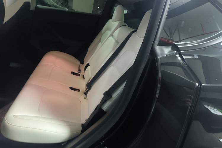 Used Tesla Model Y 2021 Long-Range All-Wheel-Drive Version 3D7 Left Rear Seat