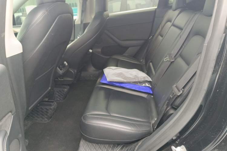 Used Tesla Model Y 2021 Standard Range Rear-Wheel Drive Version Left Rear Seat
