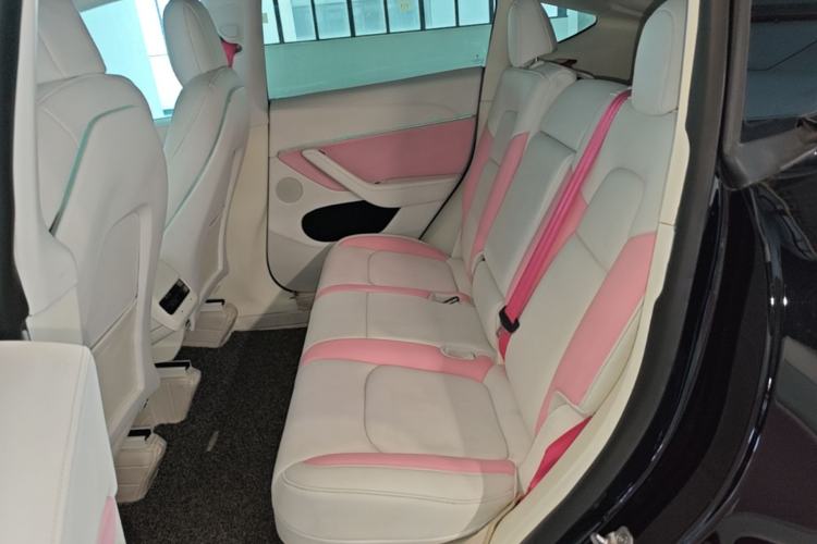 Used Tesla Model Y 2021 Standard Range Rear-Wheel Drive Version Left Rear Seat