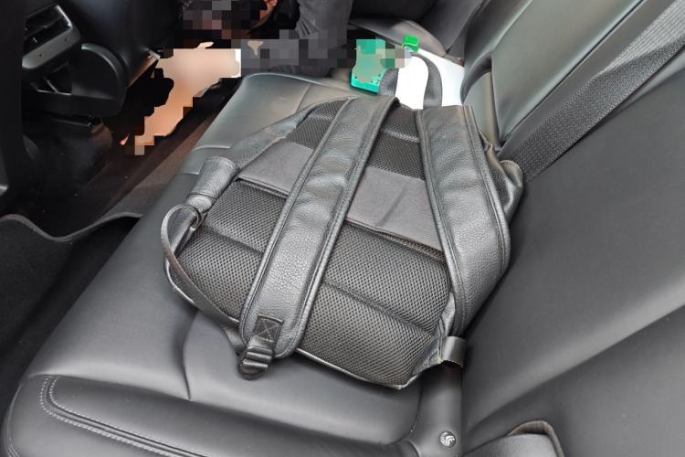 Used Tesla Model Y 2021 Standard Range Rear-Wheel Drive Version Left Rear Seat