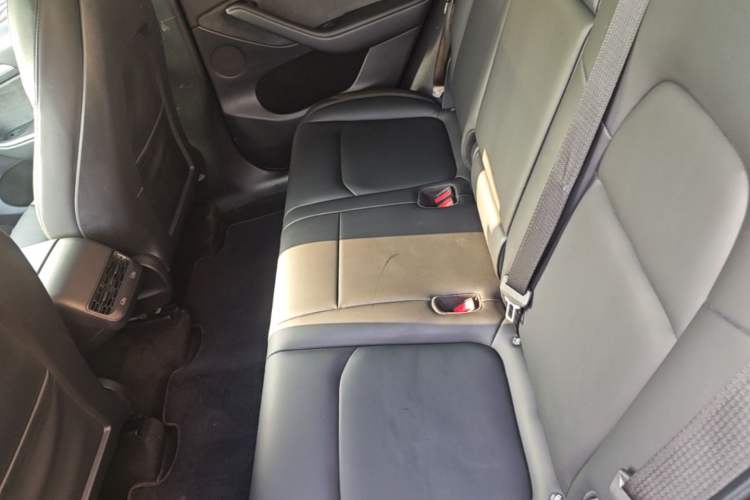 Used Tesla Model Y 2021 Standard Range Rear-Wheel Drive Version Left Rear Seat