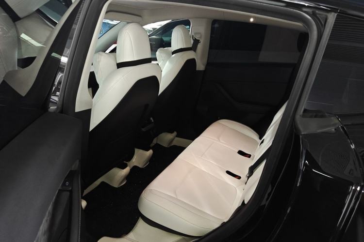 Used Tesla Model Y 2021 Performance High-Performance All-Wheel-Drive Version Left Rear Seat