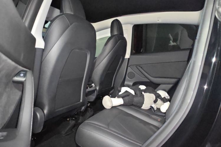 Used Tesla Model Y 2021 Standard Range Rear-Wheel Drive Version Left Rear Seat