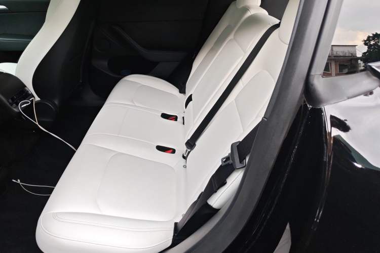 Used Tesla Model Y 2021 Long-Range All-Wheel-Drive Version 3D7 Left Rear Seat