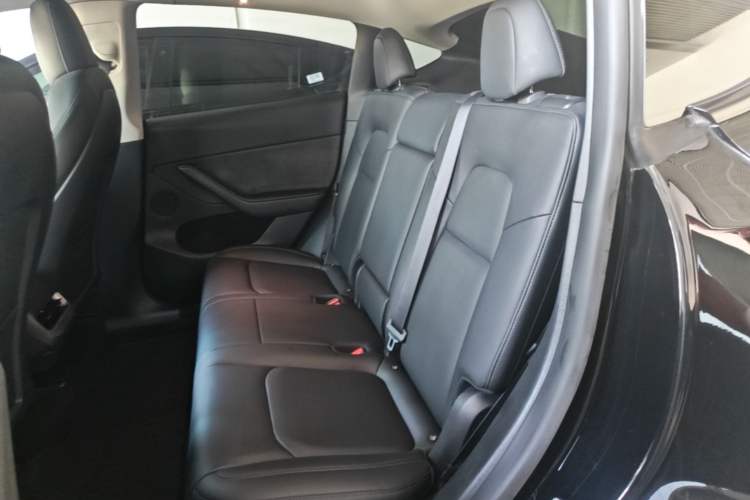 Used Tesla Model Y 2021 Revised Version 2 Long-Range All-Wheel-Drive Edition Left Rear Seat