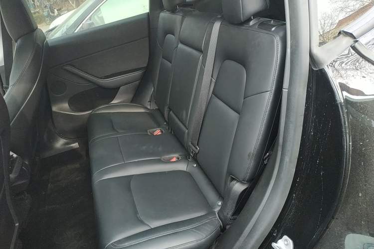 Used Tesla Model Y 2021 Standard Range Rear-Wheel Drive Version Left Rear Seat