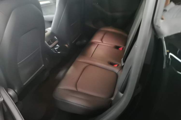 Used Tesla Model Y 2021 Standard Range Rear-Wheel Drive Version Left Rear Seat