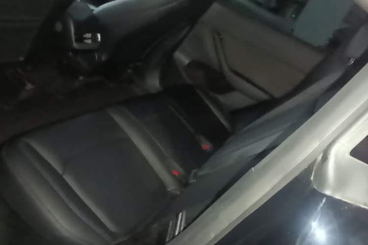 Used Tesla Model Y 2021 Standard Range Rear-Wheel Drive Version Left Rear Seat