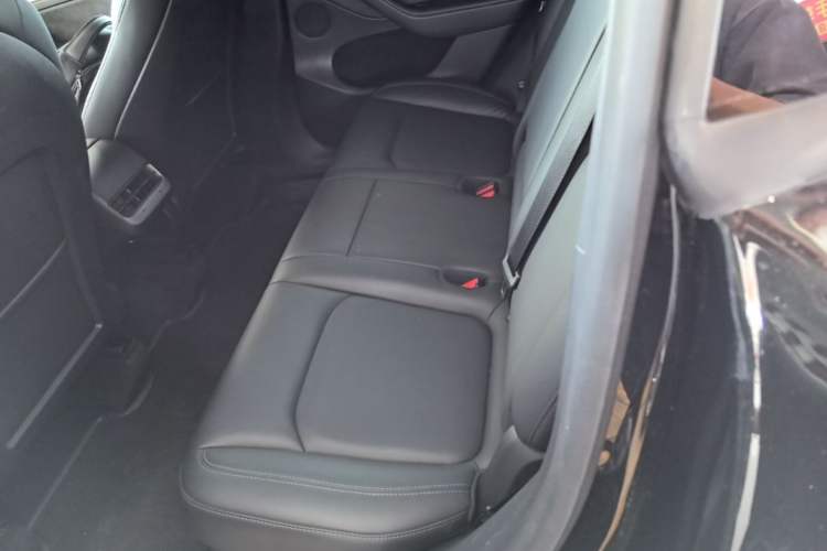 Used Tesla Model Y 2021 Standard Range Rear-Wheel Drive Version Left Rear Seat