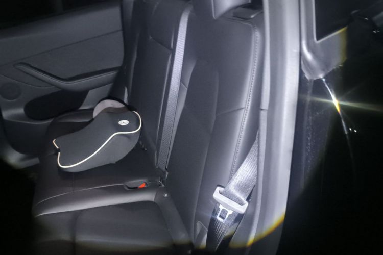 Used Tesla Model Y 2021 Standard Range Rear-Wheel Drive Version Left Rear Seat