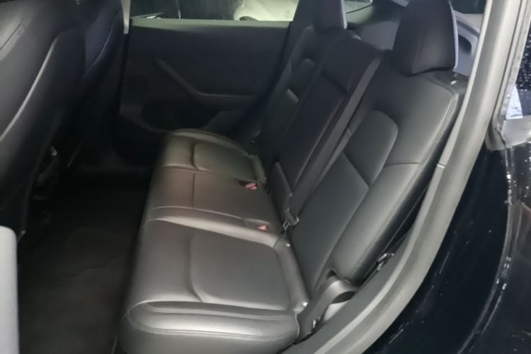 Used Tesla Model Y 2021 Performance High-Performance All-Wheel-Drive Version Left Rear Seat