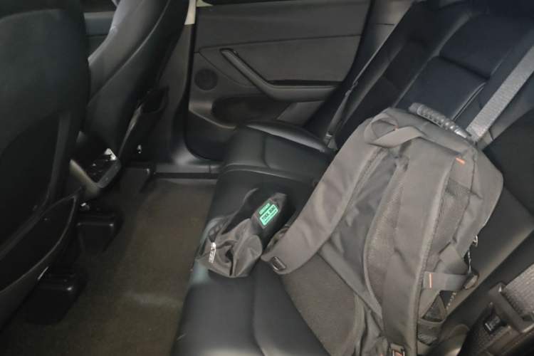 Used Tesla Model Y 2021 Long-Range All-Wheel-Drive Version 3D7 Left Rear Seat