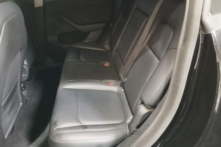 Used Tesla Model Y 2021 Standard Range Rear-Wheel Drive Version Left Rear Seat