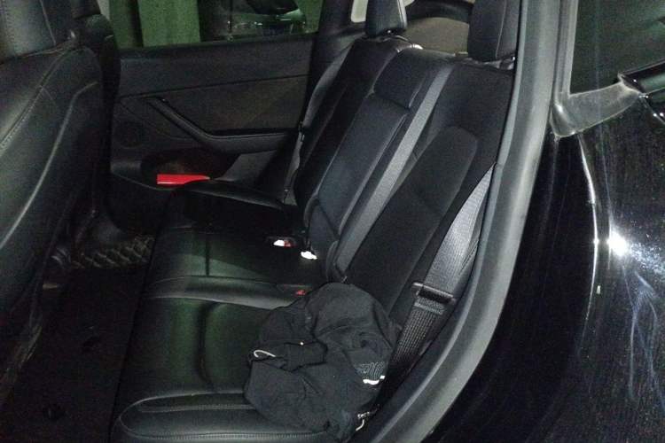 Used Tesla Model Y 2021 Standard Range Rear-Wheel Drive Version Left Rear Seat