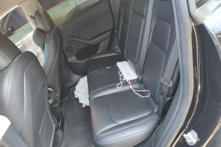 Used Tesla Model Y 2021 Performance High-Performance All-Wheel-Drive Version Left Rear Seat