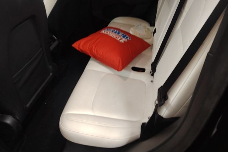 Used Tesla Model Y 2021 Performance High-Performance All-Wheel-Drive Version Left Rear Seat