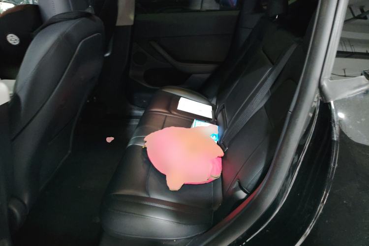 Used Tesla Model Y 2021 Standard Range Rear-Wheel Drive Version Left Rear Seat