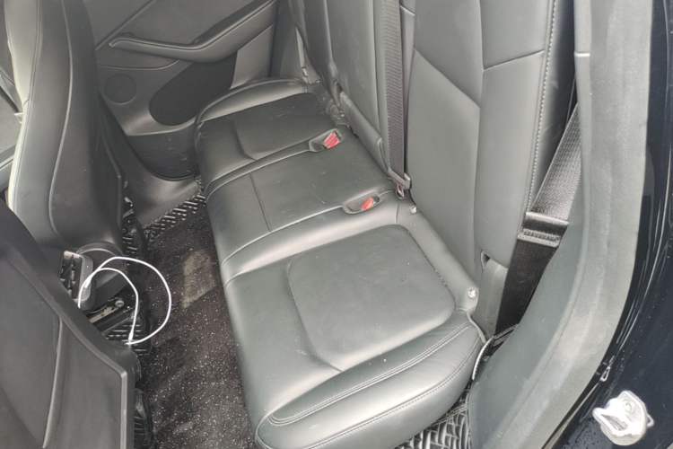 Used Tesla Model Y 2021 Standard Range Rear-Wheel Drive Version Left Rear Seat