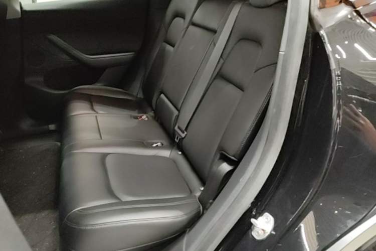 Used Tesla Model Y 2021 Standard Range Rear-Wheel Drive Version Left Rear Seat