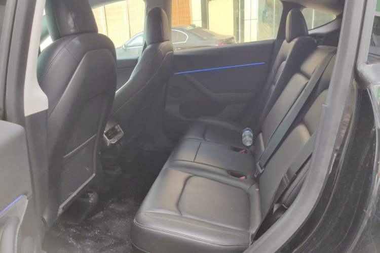 Used Tesla Model Y 2021 Standard Range Rear-Wheel Drive Version Left Rear Seat