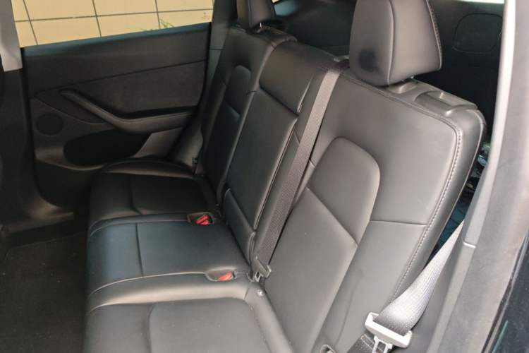 Used Tesla Model Y 2021 Standard Range Rear-Wheel Drive Version Left Rear Seat