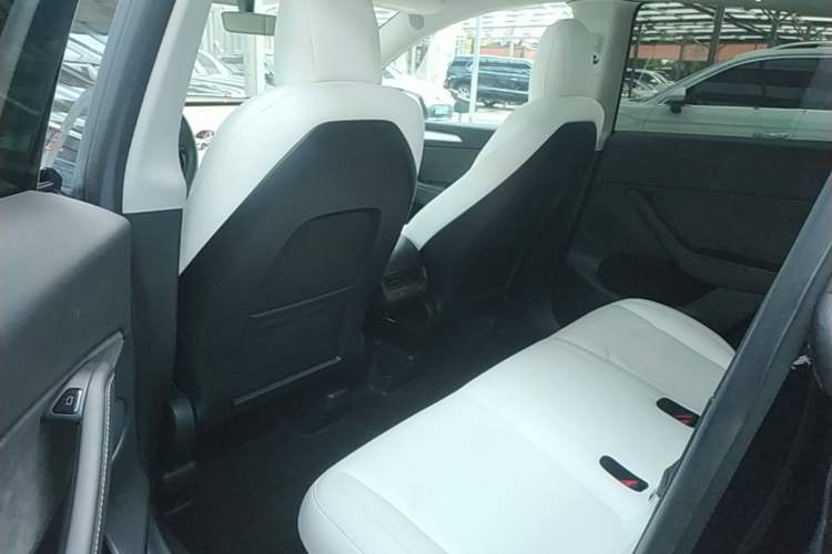 Used Tesla Model Y 2021 Standard Range Rear-Wheel Drive Version Left Rear Seat