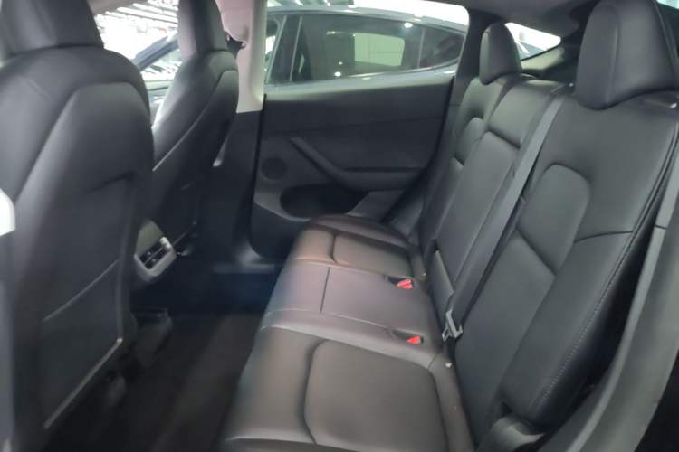 Used Tesla Model Y 2021 Standard Range Rear-Wheel Drive Version Left Rear Seat