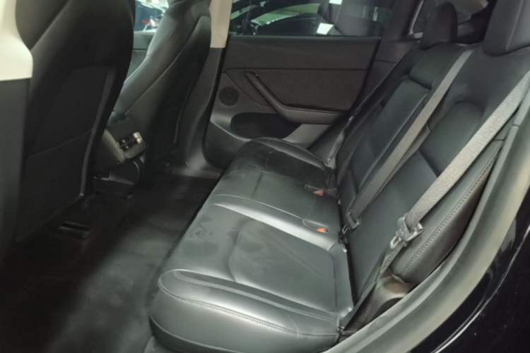 Used Tesla Model Y 2021 Standard Range Rear-Wheel Drive Version Left Rear Seat