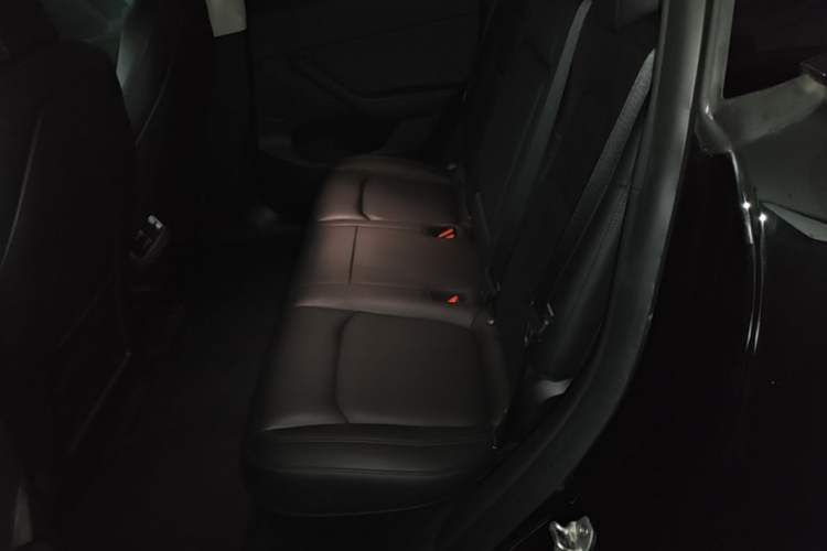 Used Tesla Model Y 2021 Standard Range Rear-Wheel Drive Version Left Rear Seat