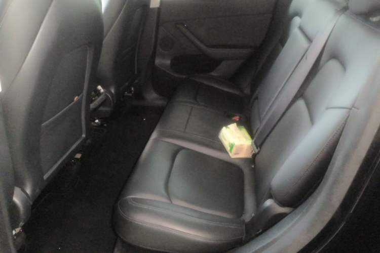 Used Tesla Model Y 2021 Long-Range All-Wheel-Drive Version Left Rear Seat