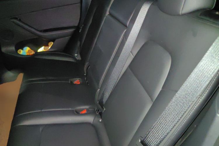 Used Tesla Model Y 2021 Long-Range All-Wheel-Drive Version Left Rear Seat