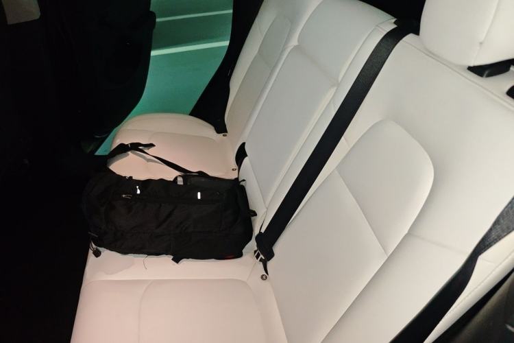 Used Tesla Model Y 2021 Long-Range All-Wheel-Drive Version Left Rear Seat