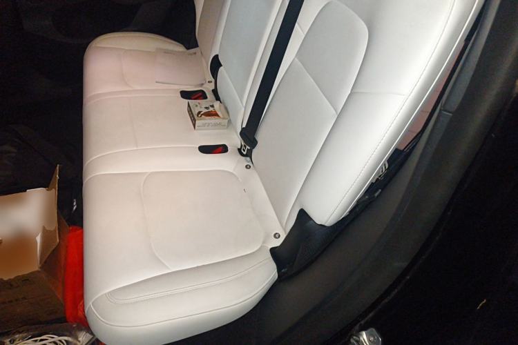 Used Tesla Model Y 2021 Standard Range Rear-Wheel Drive Version Left Rear Seat