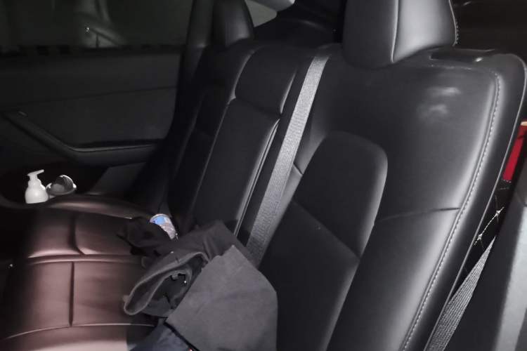 Used Tesla Model Y 2021 Standard Range Rear-Wheel Drive Version Left Rear Seat
