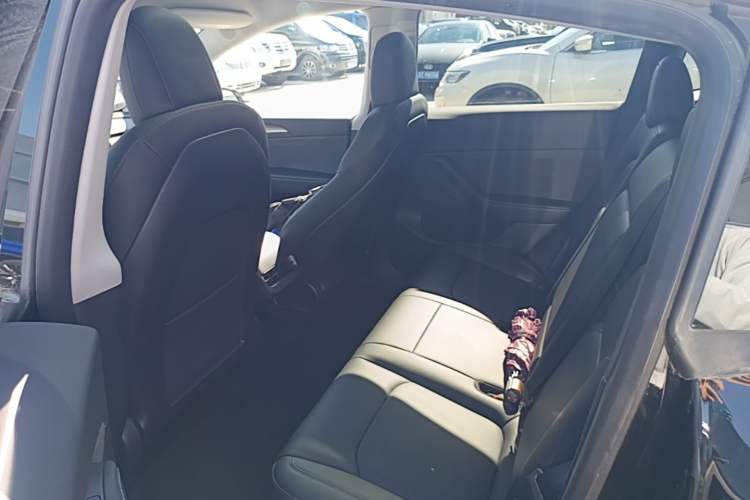 Used Tesla Model Y 2021 Standard Range Rear-Wheel Drive Version Left Rear Seat
