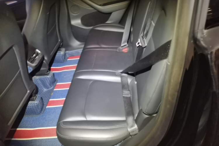 Used Tesla Model Y 2021 Standard Range Rear-Wheel Drive Version Left Rear Seat