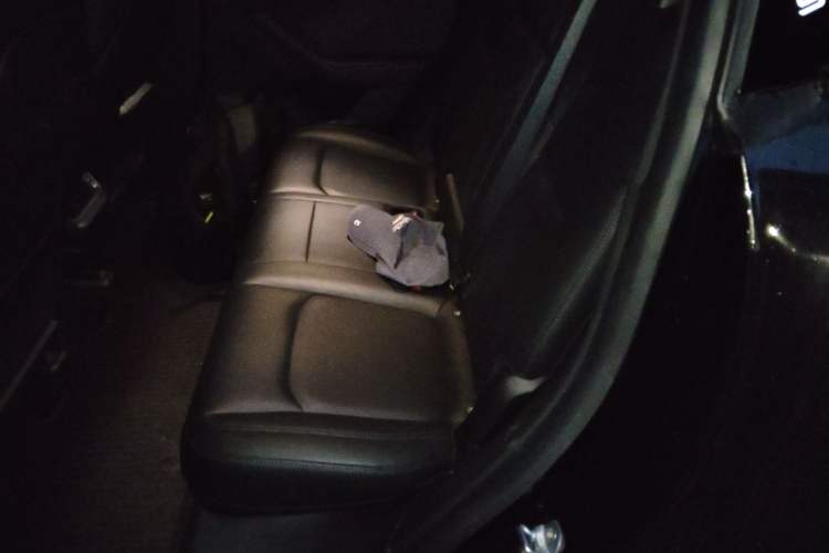 Used Tesla Model Y 2021 Standard Range Rear-Wheel Drive Version Left Rear Seat