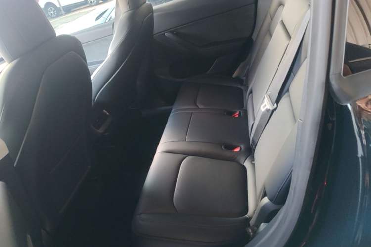 Used Tesla Model Y 2021 Revised Version 2 Long-Range All-Wheel-Drive Edition Left Rear Seat