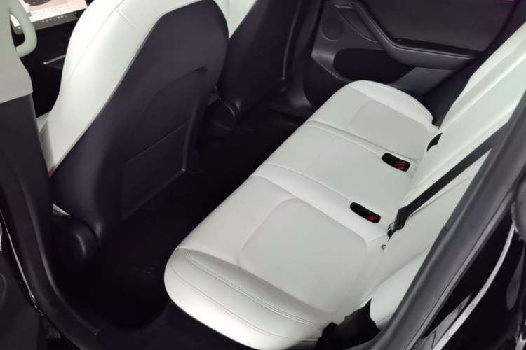 Used Tesla Model Y 2021 Performance High-Performance All-Wheel-Drive Version Left Rear Seat